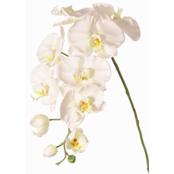 Artificial Phalaenopsis orchid branch WESA, white, 90 cm, Ø 11–12.5 cm Artificial Phalaenopsis orchid branch WESA, white, 90 cm, Ø 11–12.5 cm