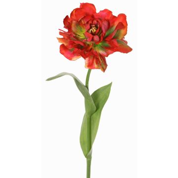 Artificial Parrot Tulip STEFANIE, red-green, 65cm, Ø14cm Artificial Parrot Tulip STEFANIE, red-green, 65cm, Ø14cm