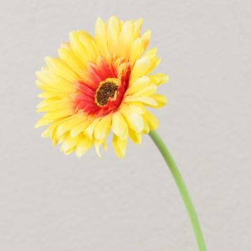 Artificial flower Gerbera TEUDELINDE, yellow, 22"/55cm, Ø3.1"/8cm Artificial flower Gerbera TEUDELINDE, yellow, 22"/55cm, Ø3.1"/8cm