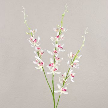 False flower branch Cymbidium orchid MONDEGO, white-fuchsia, 3ft/95cm