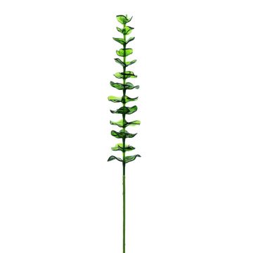 GLAUCO plastic eucalyptus branch with a glass-like finish, 12 pieces, green, 80 cm