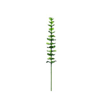 Plastic eucalyptus branch GLAUCO with a glass-like finish, 12 pieces, green, 31"/80cm Plastic eucalyptus branch GLAUCO with a glass-like finish, 12 pieces, green, 31"/80cm
