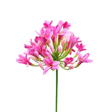 Artificial flower Agapanthus OMOLON, pink, 30"/75cm