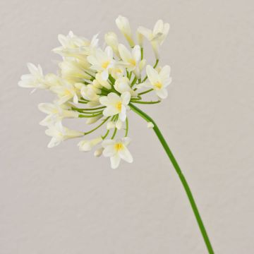Artificial flower Agapanthus OMOLON, cream, 30"/75cm
