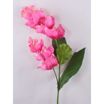 False flowering branch Medinilla LASENTER, pink, 4ft/110cm False flowering branch Medinilla LASENTER, pink, 4ft/110cm