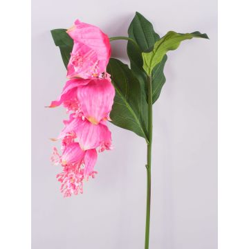 False flowering branch Medinilla LASENTER, pink, 5ft/140cm False flowering branch Medinilla LASENTER, pink, 5ft/140cm