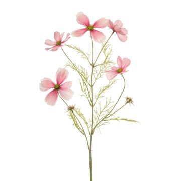Decorative cosmos BELIAH, pink, 75cm Decorative cosmos BELIAH, pink, 75cm