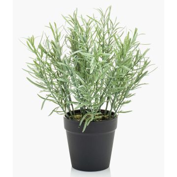 Artificial rosemary WHOOPI in decorative pot, green, 10"/25cm