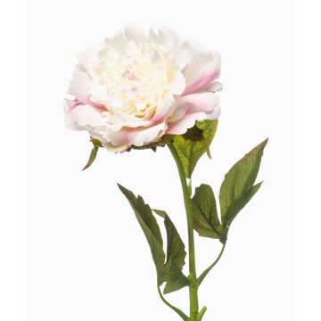 GAVRON artificial peony, white and pink, 55 cm