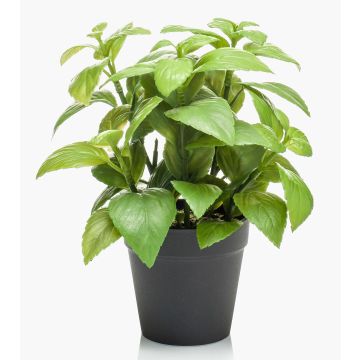 Artificial basil WHOOPI in decorative pot, green, 9"/23cm Artificial basil WHOOPI in decorative pot, green, 9"/23cm