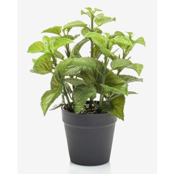 Artificial mint WHOOPI in decorative pot, green, 9"/23cm