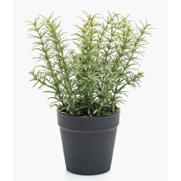 Artificial thyme WHOOPI in decorative pot, green, 9"/22cm