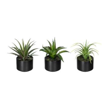 Artificial succulent arrangement FLUKE in ceramic pot, 3 pieces, green, 6"/15cm