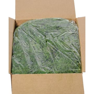 Icelandic natural moss SVEINBJÖRN, dark green, 5kg