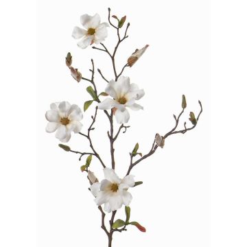 Decorative magnolia MARGA, white, 31"/80cm, Ø 2.4"-3.1"/6-8cm Decorative magnolia MARGA, white, 31"/80cm, Ø 2.4"-3.1"/6-8cm