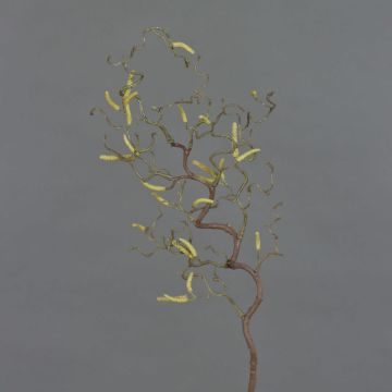 Decorative hazelnut branch XANCHO with catkins, brown, 26"/65cm