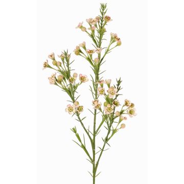 Artificial wax flower branch FRINDALS, light pink-white, 26"/65cm, Ø0.6"-0.8"/1.5-2cm Artificial wax flower branch FRINDALS, light pink-white, 26"/65cm, Ø0.6"-0.8"/1.5-2cm