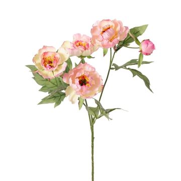 Artificial peony branch LARDUAN, Eco Collection, pink-white, 60 cm, Ø 7 cm Artificial peony branch LARDUAN, Eco Collection, pink-white, 60 cm, Ø 7 cm