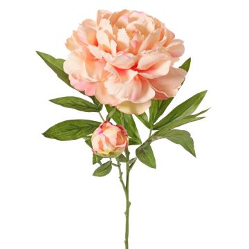 WARDUAN artificial peony, Eco Collection, salmon, 65cm, Ø15cm WARDUAN artificial peony, Eco Collection, salmon, 65cm, Ø15cm