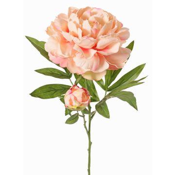 Faux peony WARDUAN, Eco Collection, salmon, 26"/65cm, Ø5.9"/15cm Faux peony WARDUAN, Eco Collection, salmon, 26"/65cm, Ø5.9"/15cm