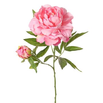 WARDUAN artificial peony, Eco Collection, pink, 65 cm, Ø15 cm WARDUAN artificial peony, Eco Collection, pink, 65 cm, Ø15 cm