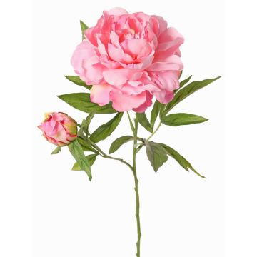 Faux peony WARDUAN, Eco Collection, pink, 26"/65cm, Ø5.9"/15cm Faux peony WARDUAN, Eco Collection, pink, 26"/65cm, Ø5.9"/15cm