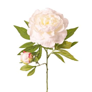 WARDUAN artificial peony, Eco Collection, white, 65 cm, Ø15 cm WARDUAN artificial peony, Eco Collection, white, 65 cm, Ø15 cm