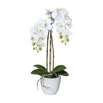 Artificial Phalaenopsis orchid LARKEN in a ceramic pot, roots, white, 45cm Artificial Phalaenopsis orchid LARKEN in a ceramic pot, roots, white, 45cm