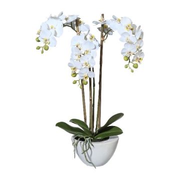 Faux Phalaenopsis orchid LARKEN in a ceramic bowl, roots, white, 20"/50cm Faux Phalaenopsis orchid LARKEN in a ceramic bowl, roots, white, 20"/50cm