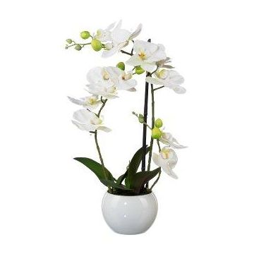 False Phalaenopsis orchid INAKES, ceramic pot, roots, white, 16"/40cm
