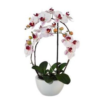 False Phalaenopsis orchid INAKES, ceramic pot, roots, pink-white, 20"/50cm