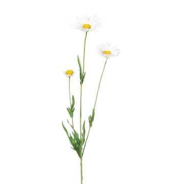 FRUHIL decorative daisy sprig, white, 65 cm FRUHIL decorative daisy sprig, white, 65 cm
