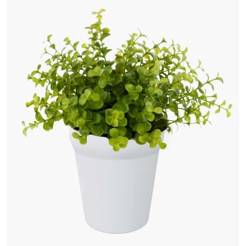 Artificial herb: eucalyptus ‘JOSHUA’ in a ceramic pot, green, 20cm, Ø17cm