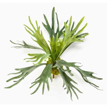 Decorative antler fern CHARLS on spike, green, 18"/45cm, Ø 31"/80cm Decorative antler fern CHARLS on spike, green, 18"/45cm, Ø 31"/80cm