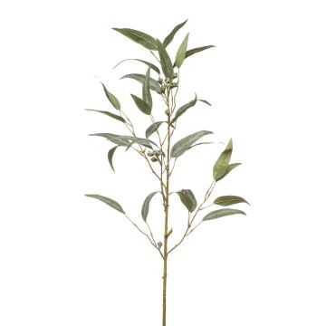 Artificial eucalyptus branch JURKA with fruits, green-grey, 3ft/90cm