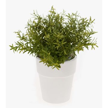 Artificial Rosemary JOSHUA in a ceramic pot, green, 23cm, Ø17cm Artificial Rosemary JOSHUA in a ceramic pot, green, 23cm, Ø17cm
