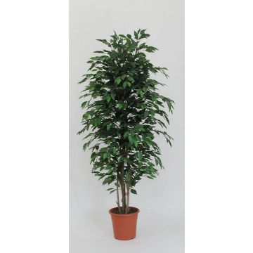 Artificial Ficus Benjamina KONRADE, real stems, green, 4ft/125cm - Made in Italy