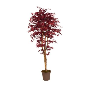 Artificial Japanese maple GORDJUSCHA, real stems, dark red, 5ft/150cm - Made in Italy Artificial Japanese maple GORDJUSCHA, real stems, dark red, 5ft/150cm - Made in Italy