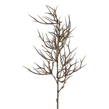 Decorative Christ's thorn branch SPROLI, brown, 28"/70cm