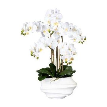 False Phalaenopsis orchid ZALBROK, white decorative vase, roots, white, 30"/75cm