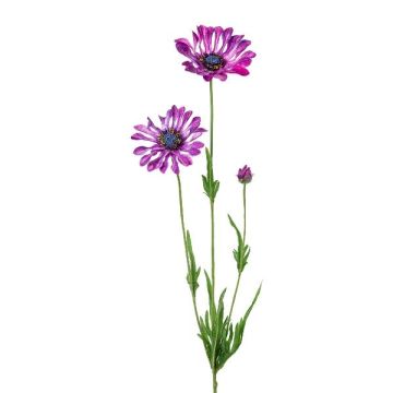 Artificial marguerite branch NIELAY, purple, 26"/65cm Artificial marguerite branch NIELAY, purple, 26"/65cm