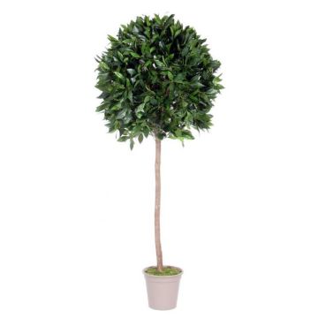 False cherry laurel ball JUROTSCHKA, real stem, fruits, 5ft/150cm, Ø55cm - Made in Italy