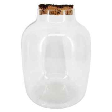 RYZEL storage jar with cork lid, clear, 34 cm, Ø24 cm