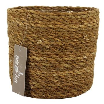 Seagrass basket AMPARO, beige, 4.9"/12,5cm, Ø5.5"/14cm