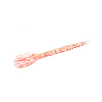 Dried grass BORKA, Lagurus bunch, pink, 22"-30"/55-75cm, Ø4.7"/12cm