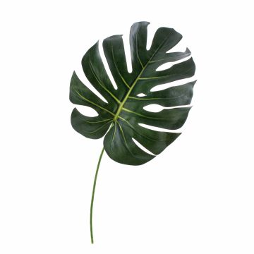 Decorative Philodendron Monstera Deliciosa leaf UMBERTO, 22"/55cm