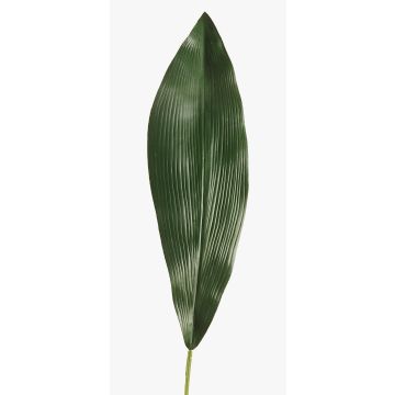 Artificial Aspidistra leaf PAISA, 30"/75cm Artificial Aspidistra leaf PAISA, 30"/75cm