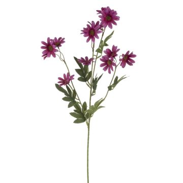 Velvet marguerite FENAS, violet, 26"/65cm