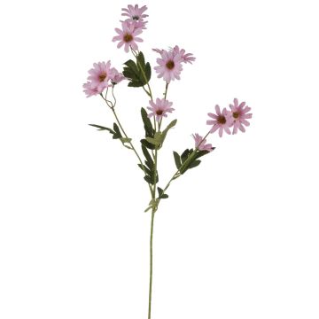 Velvet marguerite FENAS, pink-white, 26"/65cm
