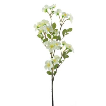 Decorative flower Impatiens WENIA, cream, 28"/70cm Decorative flower Impatiens WENIA, cream, 28"/70cm